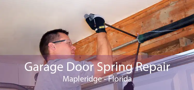 Garage Door Spring Repair Mapleridge - Florida