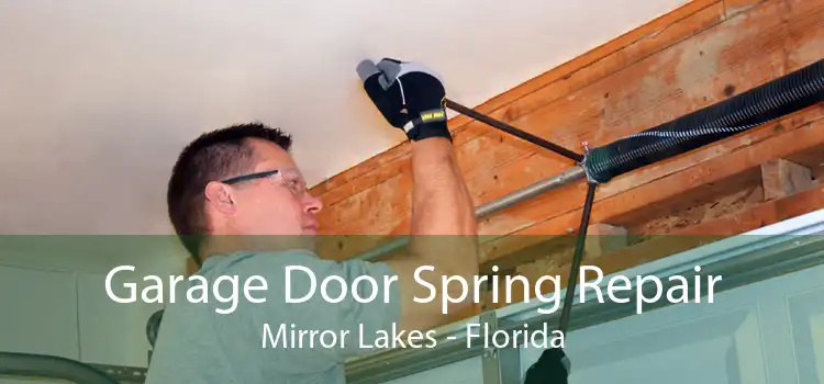 Garage Door Spring Repair Mirror Lakes - Florida