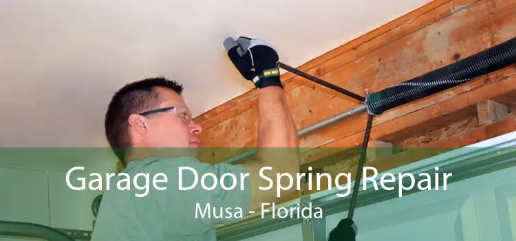 Garage Door Spring Repair Musa - Florida