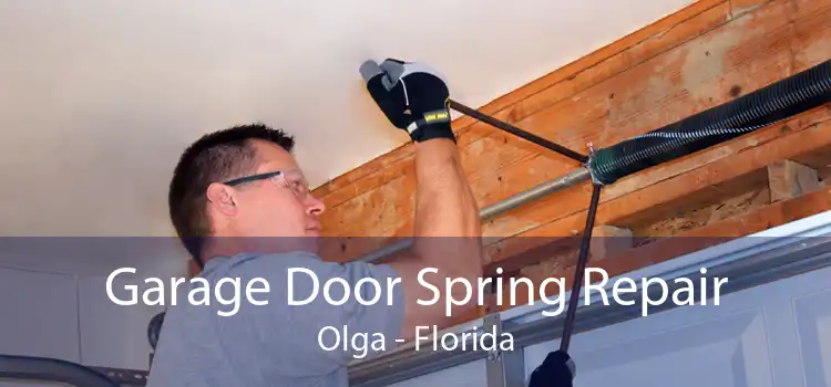 Garage Door Spring Repair Olga - Florida