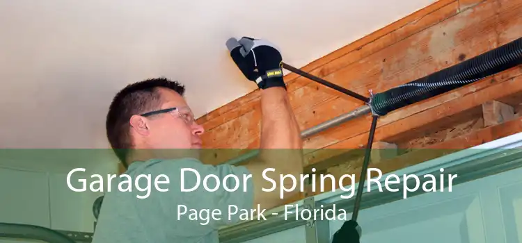 Garage Door Spring Repair Page Park - Florida