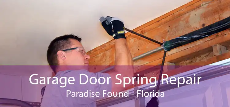 Garage Door Spring Repair Paradise Found - Florida