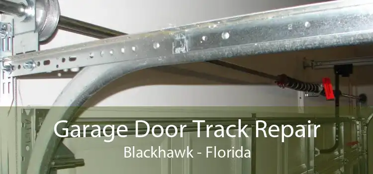 Garage Door Track Repair Blackhawk - Florida