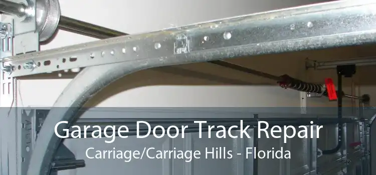 Garage Door Track Repair Carriage/Carriage Hills - Florida