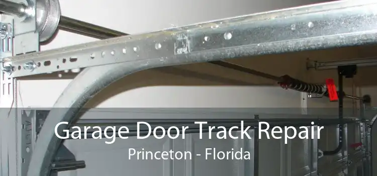 Garage Door Track Repair Princeton - Florida