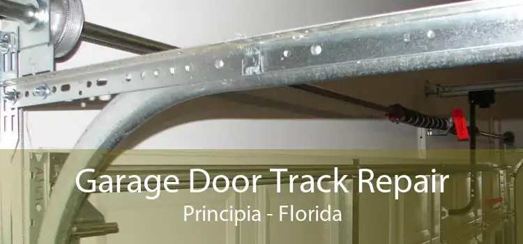 Garage Door Track Repair Principia - Florida