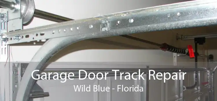 Garage Door Track Repair Wild Blue - Florida