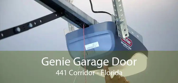 Genie Garage Door 441 Corridor - Florida