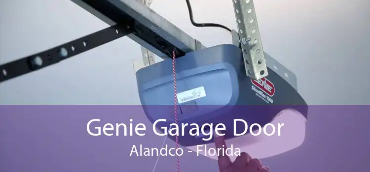 Genie Garage Door Alandco - Florida