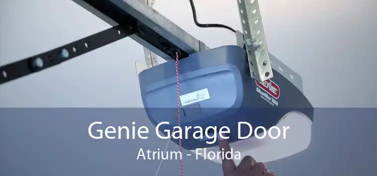 Genie Garage Door Atrium - Florida