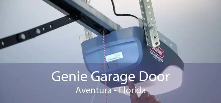 Genie Garage Door Aventura - Florida