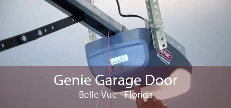 Genie Garage Door Belle Vue - Florida