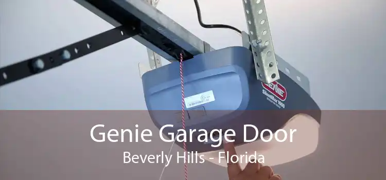 Genie Garage Door Beverly Hills - Florida