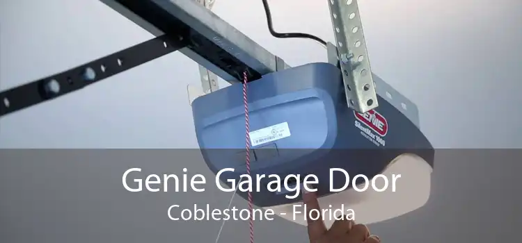 Genie Garage Door Coblestone - Florida