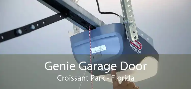 Genie Garage Door Croissant Park - Florida