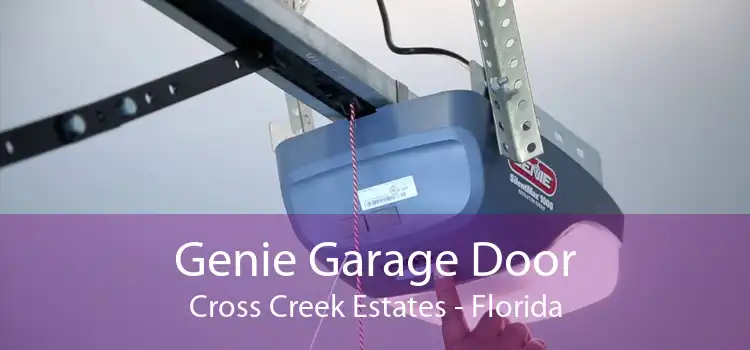 Genie Garage Door Cross Creek Estates - Florida