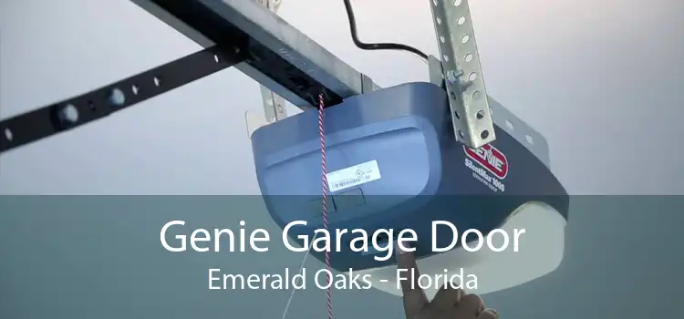 Genie Garage Door Emerald Oaks - Florida