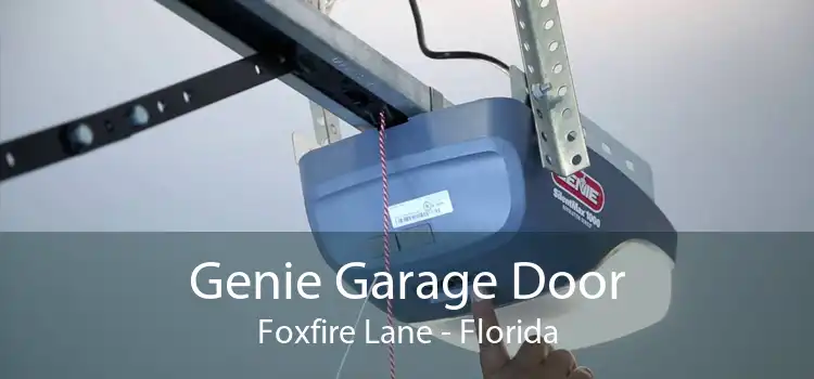 Genie Garage Door Foxfire Lane - Florida