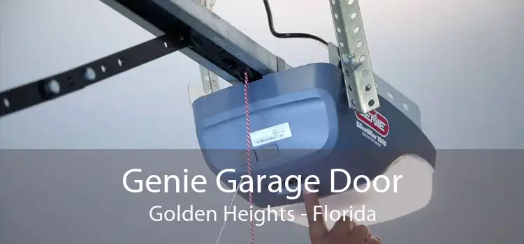 Genie Garage Door Golden Heights - Florida