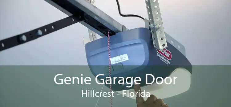 Genie Garage Door Hillcrest - Florida