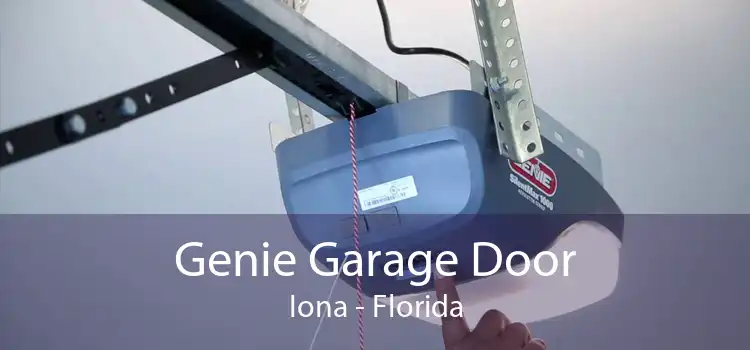 Genie Garage Door Iona - Florida