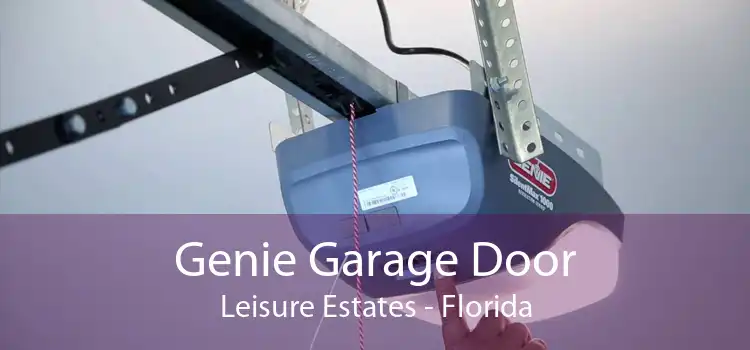 Genie Garage Door Leisure Estates - Florida