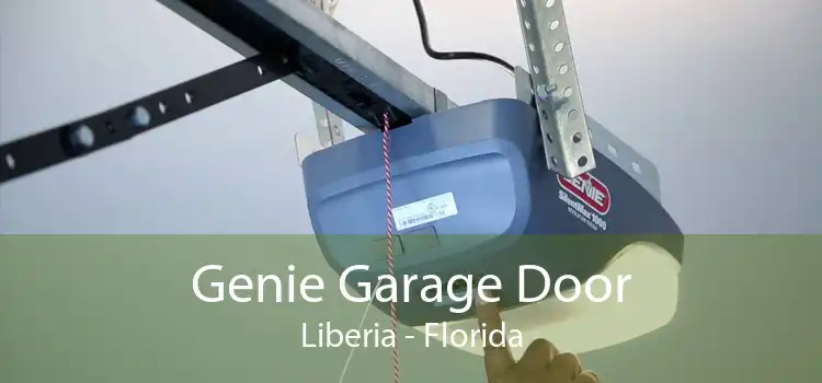 Genie Garage Door Liberia - Florida