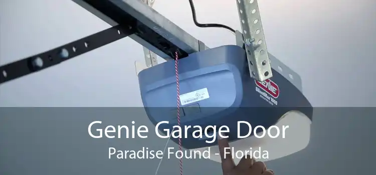 Genie Garage Door Paradise Found - Florida