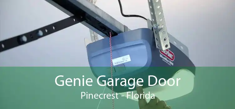 Genie Garage Door Pinecrest - Florida