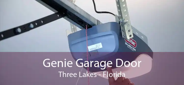 Genie Garage Door Three Lakes - Florida