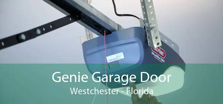 Genie Garage Door Westchester - Florida