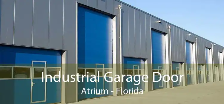 Industrial Garage Door Atrium - Florida