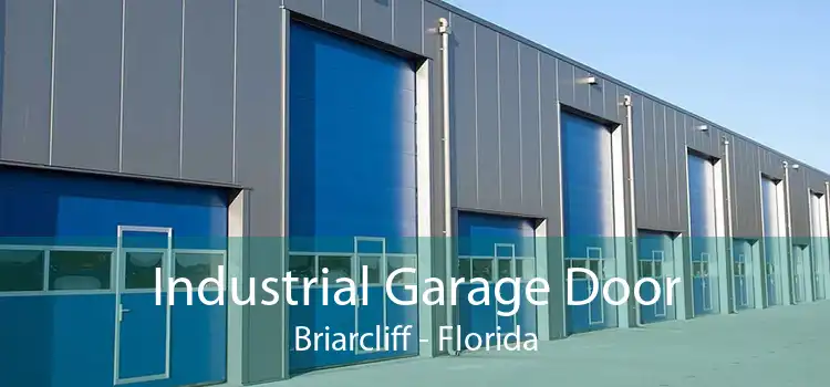 Industrial Garage Door Briarcliff - Florida