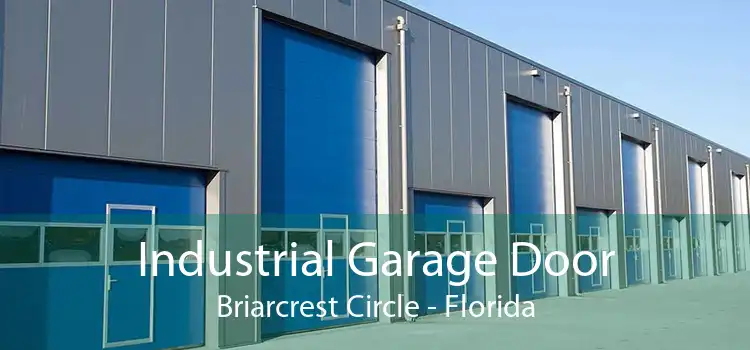 Industrial Garage Door Briarcrest Circle - Florida