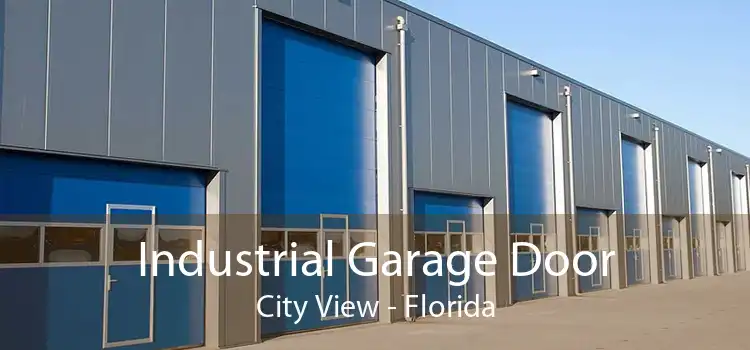 Industrial Garage Door City View - Florida