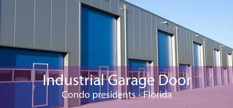 Industrial Garage Door Condo presidents - Florida