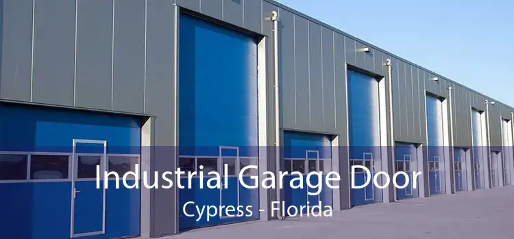 Industrial Garage Door Cypress - Florida