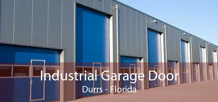 Industrial Garage Door Durrs - Florida