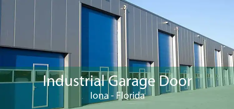 Industrial Garage Door Iona - Florida