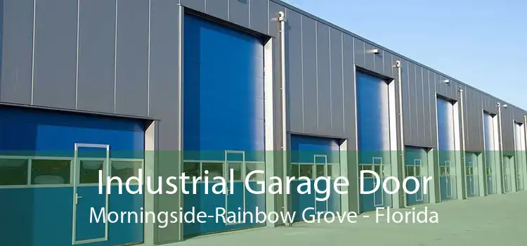 Industrial Garage Door Morningside-Rainbow Grove - Florida