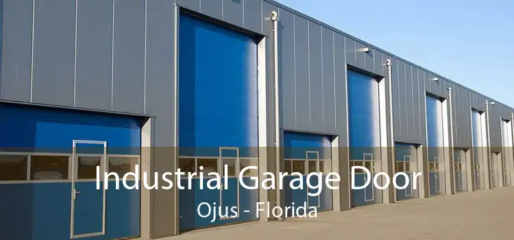 Industrial Garage Door Ojus - Florida