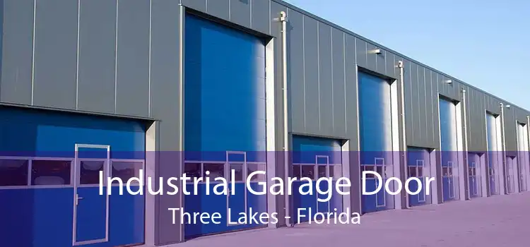 Industrial Garage Door Three Lakes - Florida