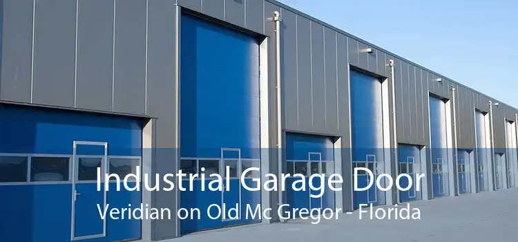 Industrial Garage Door Veridian on Old Mc Gregor - Florida