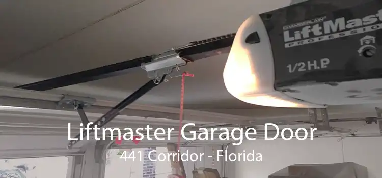 Liftmaster Garage Door 441 Corridor - Florida