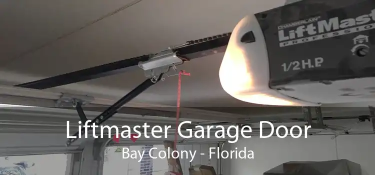 Liftmaster Garage Door Bay Colony - Florida