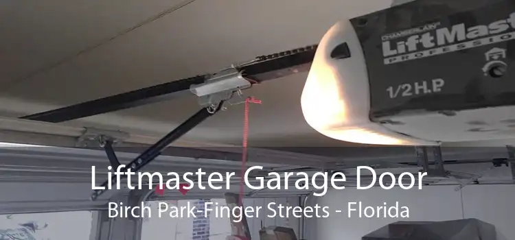 Liftmaster Garage Door Birch Park-Finger Streets - Florida