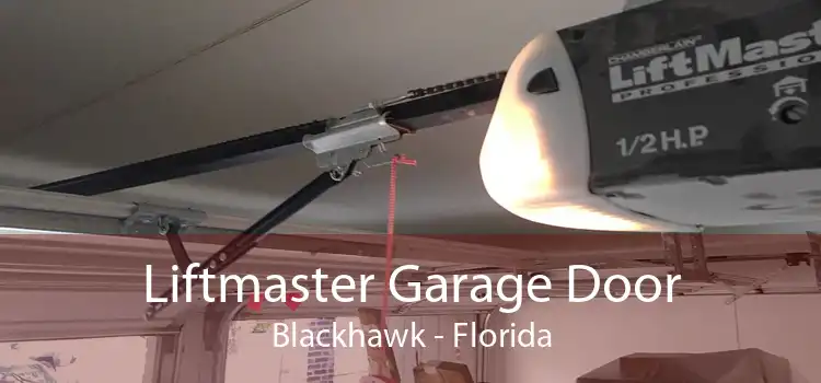 Liftmaster Garage Door Blackhawk - Florida