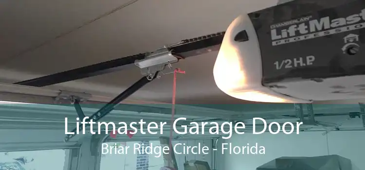 Liftmaster Garage Door Briar Ridge Circle - Florida