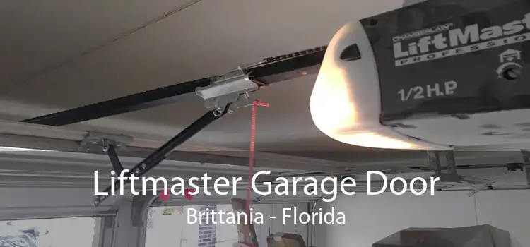 Liftmaster Garage Door Brittania - Florida