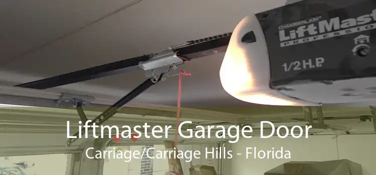 Liftmaster Garage Door Carriage/Carriage Hills - Florida